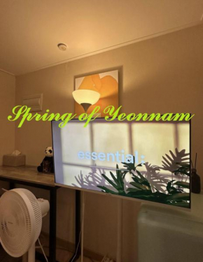 Yeonanm Spring